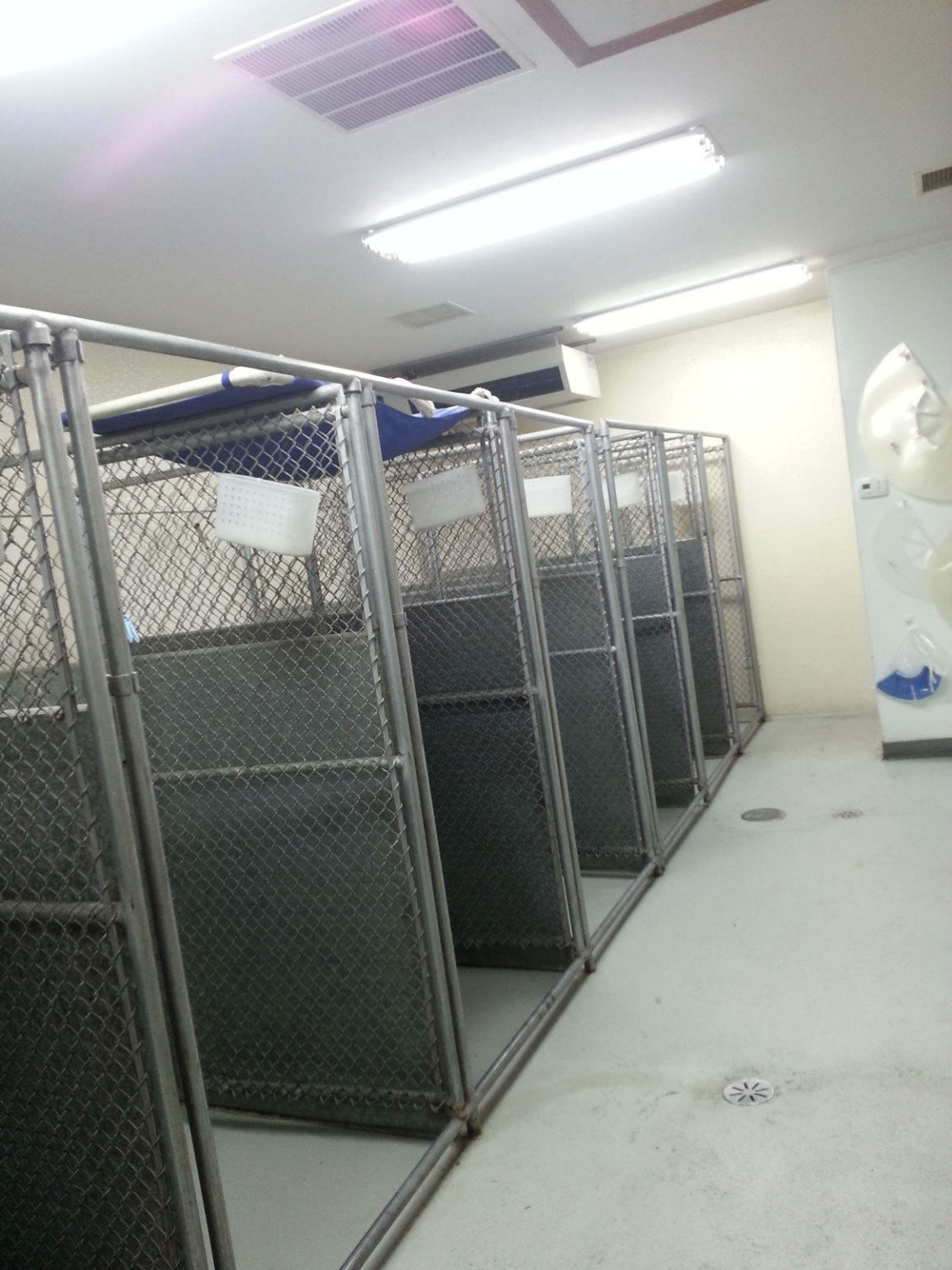 Office Tour Grayslake IL Best Friends Animal Hospital