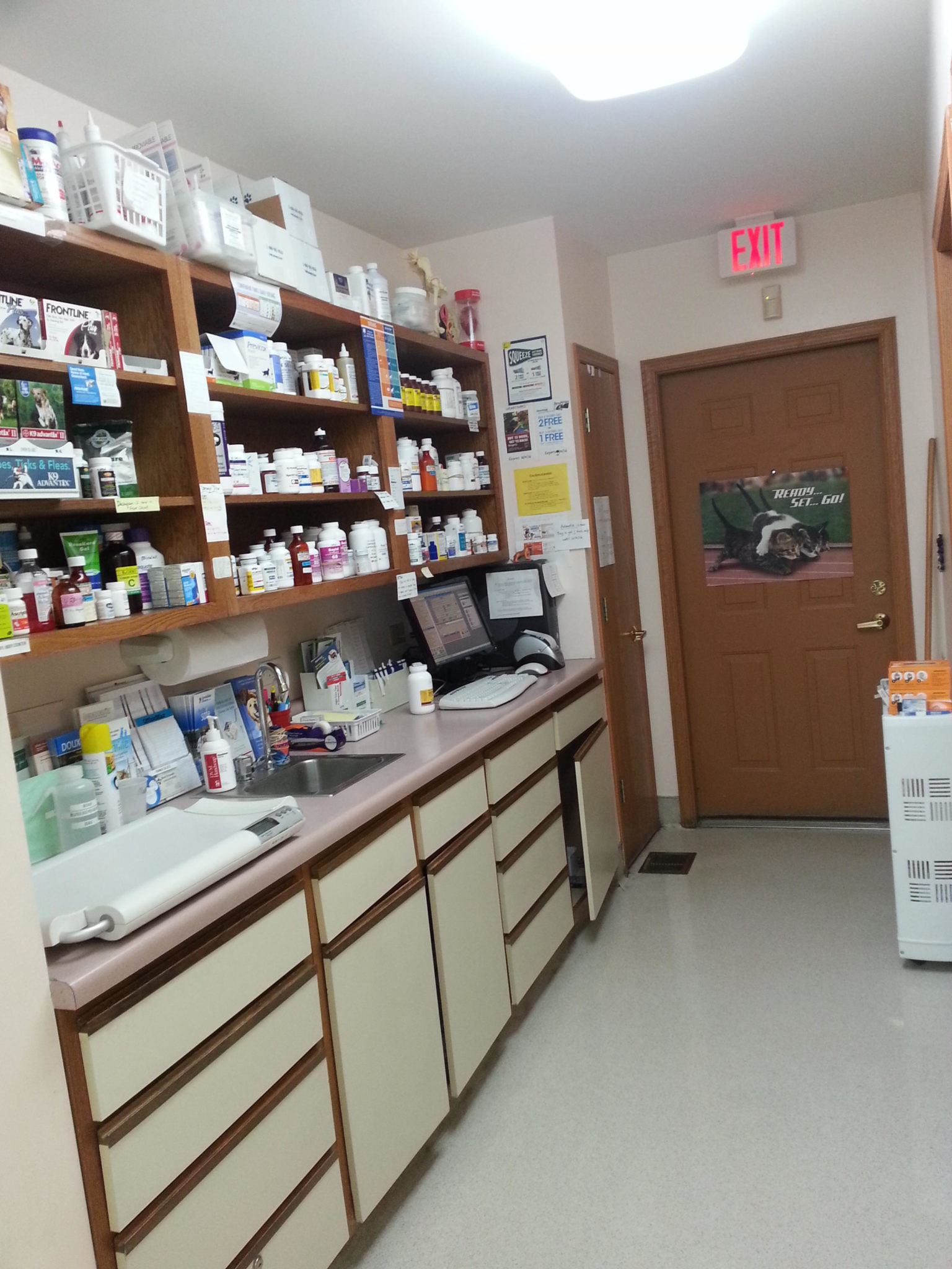 Office Tour Grayslake IL Best Friends Animal Hospital