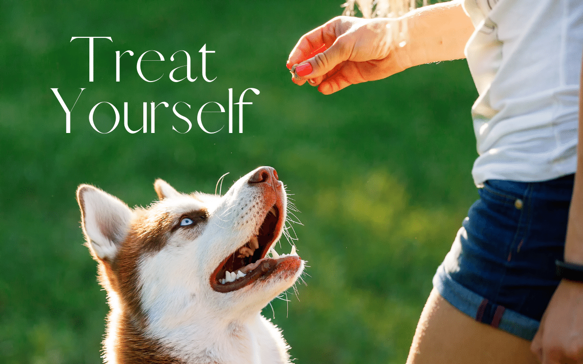 Treat Yourself (1) Treat Yourself Rewards Program for Veterinarians